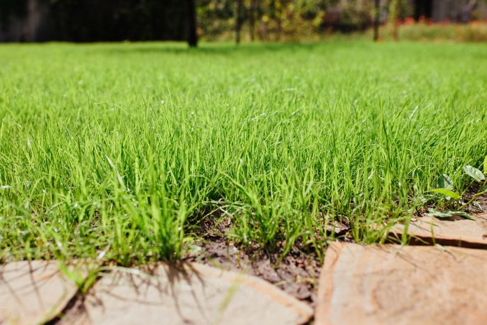 Come livellare il giardino: metodi e attrezzature in base alla superficie